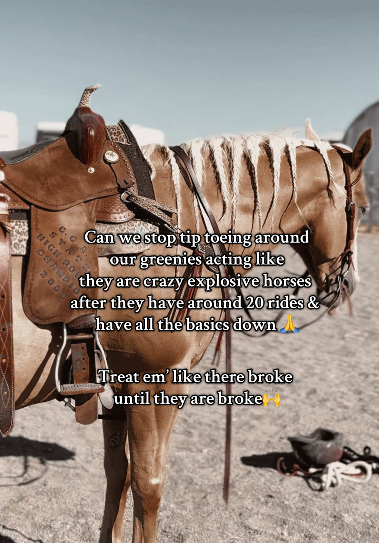 Heavy on treating them like there broke till they show you they aren’t, then making it a teaching moment. I’m not saying stop teaching after the 20th ride, but stop tiptoeing around, all your doing is gonna make them more explosive in a scary situation. I haven’t posted something controversial in a sec I don’t like it😣#builtnotbought #emilyandbarbie #jokerandemily #barrelracing #selfteaching #fypシ #fyppppppppppppppppppppppp 