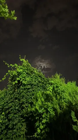 #بدوموسيقى @بدون موسيقى 