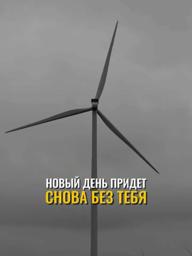 Не любишь