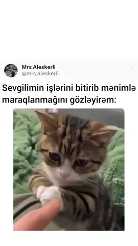 #canim #♥️💙 #qazaxlilarsesedin♥️ #dəyərlisiz🖤🌙 #dəyərlisiz👑sevilirsiz💎 