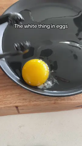 Eggcelence #smallbusinessowner #amazonfbaseller #entrepreneur 