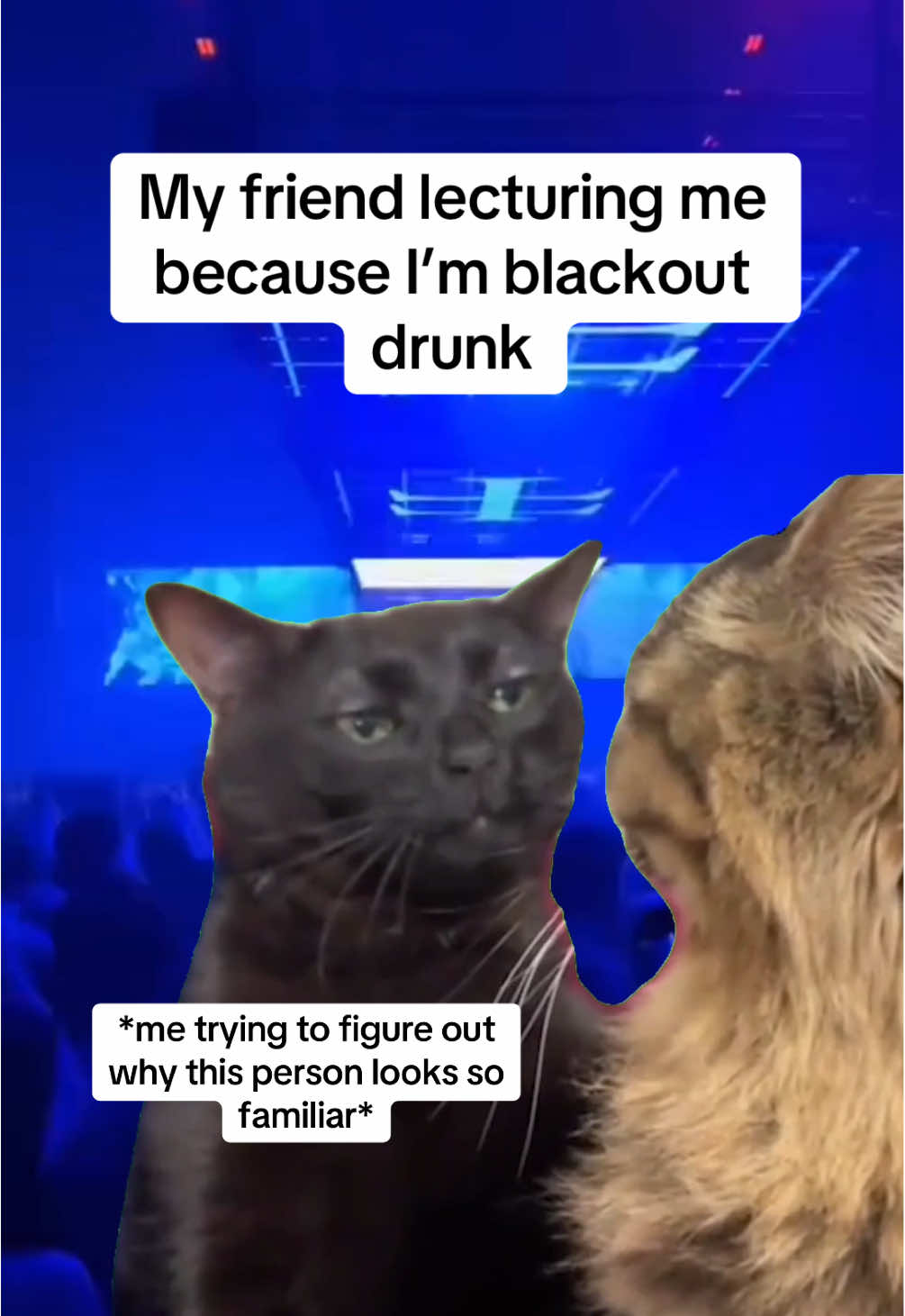🤣🤣🤣 #party #rave #ravememe #nightout 