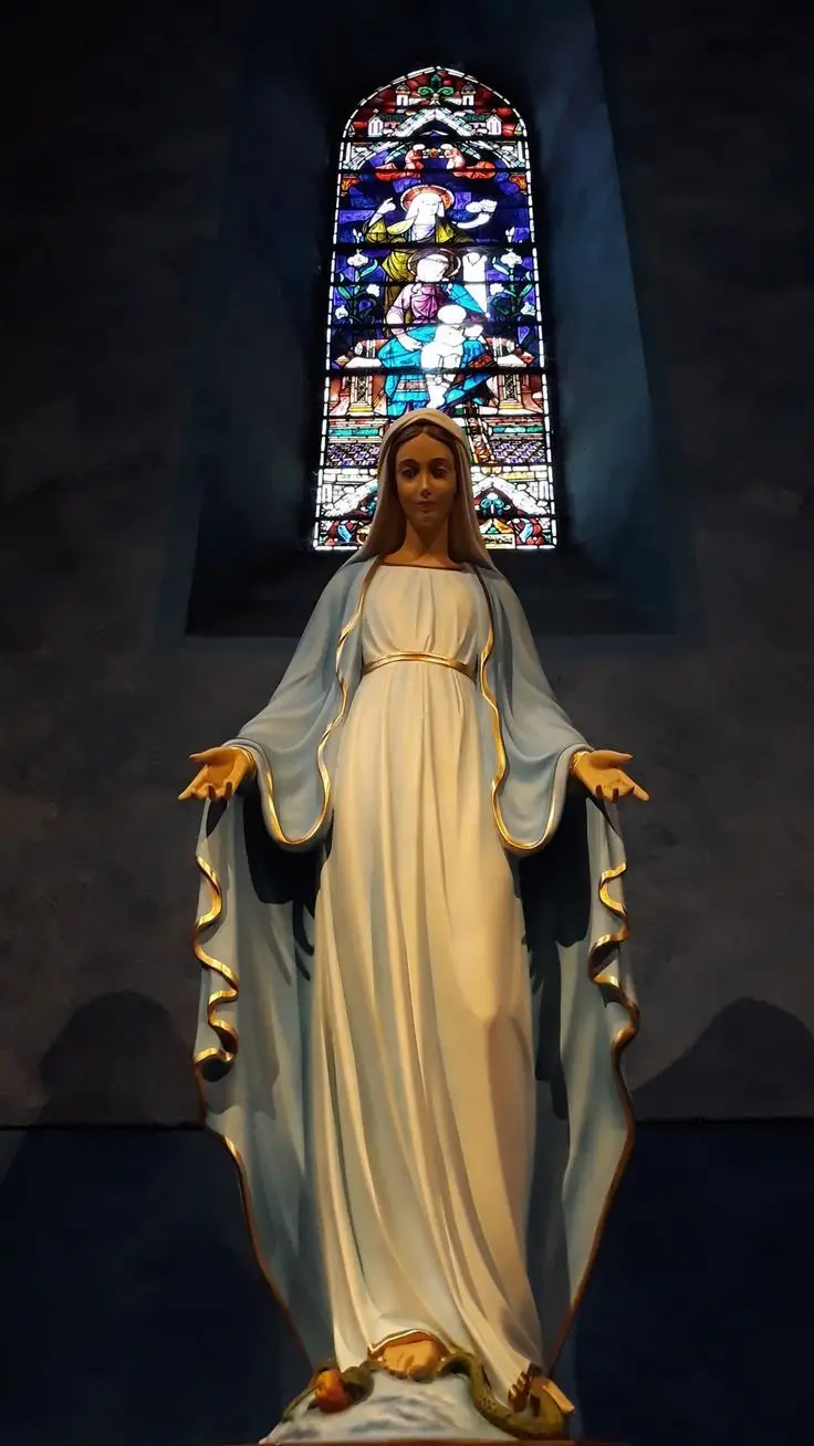 Wallpaper for Phone with Virgin Maria #catholic  #katolikindonesia #wallpaper #catholictiktok 