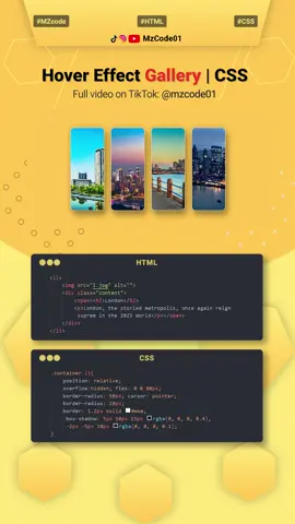 Hover Effect Gallery CSS #trending #coding  #htmlcss #webdesign #reels 