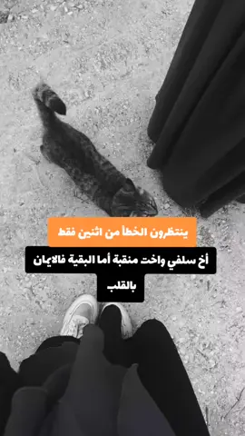 الله المستعان 
