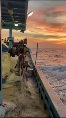 Tugas Sudah Selesai Waktunya Tidur Sampe Kaya orang mati Suri🤦‍♂️🤣🤣🤣#pejuangrupiah #anakrantau #pelautpunyacerita