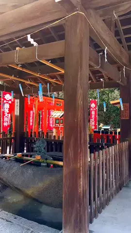 #住吉神社#大阪市此花区#大阪の街をぶらり 