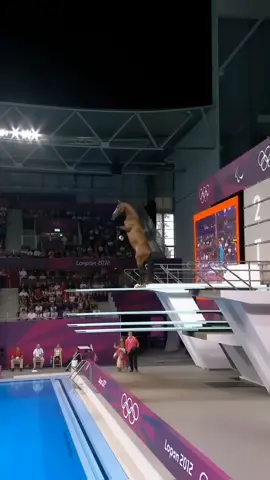 what the best? #ai #olimpiadas #horse #cat #cat 