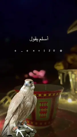 #أكسبلور_شعر_حكم_خواطر 