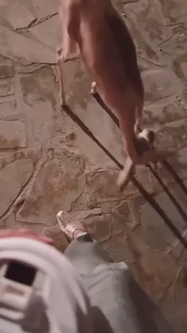 #اكسبلور 