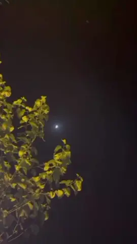 #🤍 #🌛🌛 #🌑✨ 