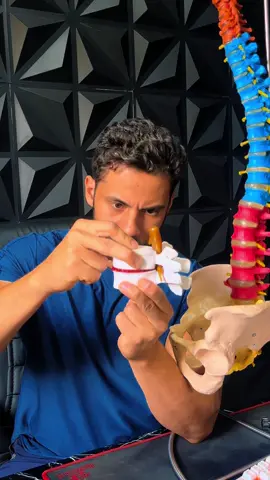 Como aliviar a dor na coluna! #dornascostas #dorlombar #dornacoluna #exercicio #ciatica #herniadedisco 