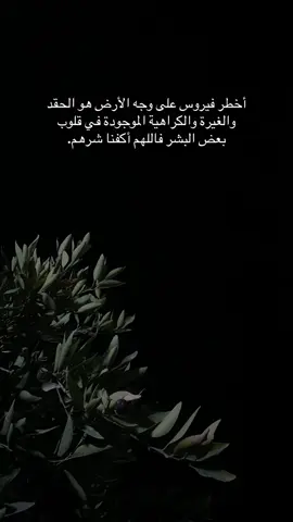 #حسين_التگريتي #تكريت #العلم #الحاوي #عشوايات 
