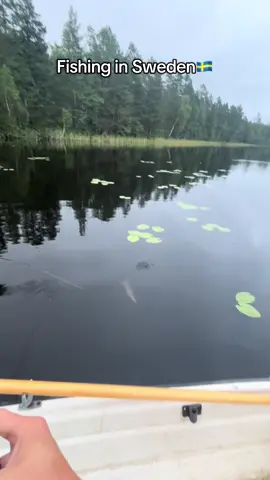 Har du fiskat något idag? #sweden #fiske #hiddengems #pike #perch #lake 