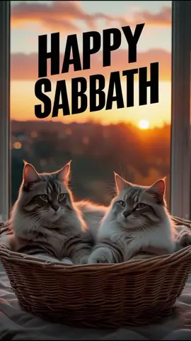 Happy Saturday good morning happy Sabbath August 2025, 2/8 /2025 #happysaturday #happysabbath #goodmorning #moraash124 #wisheszone #wishes #2025 