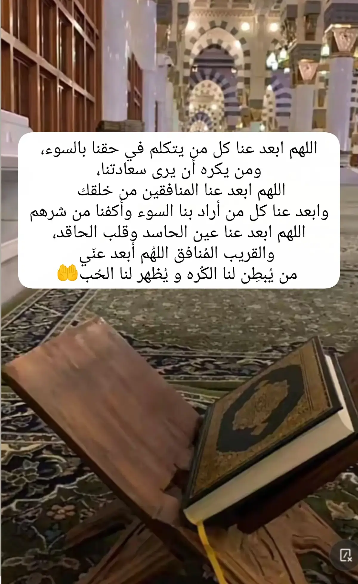 #اللهم_آمين_يارب_العالمين #اللهم_فرج_همومنا_واصلح_احوالنا #دعاء #اللهم_صلي_على_نبينا_محمد #اللهم_اغفر_لنا_وارحمنا #يارب #قران 