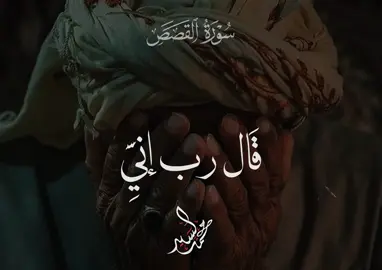 ♥️♥️♥️♥️. #الشيخ_محمود_الشحات_انور #qurana_alkarim #quran #قران 
