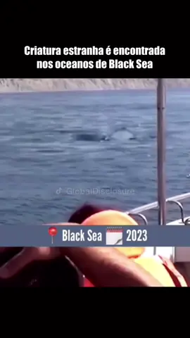 Criatura estranha é encontrada nos oceanos de Black Sea! #curiosidades #fatos #fatoscuriosos 