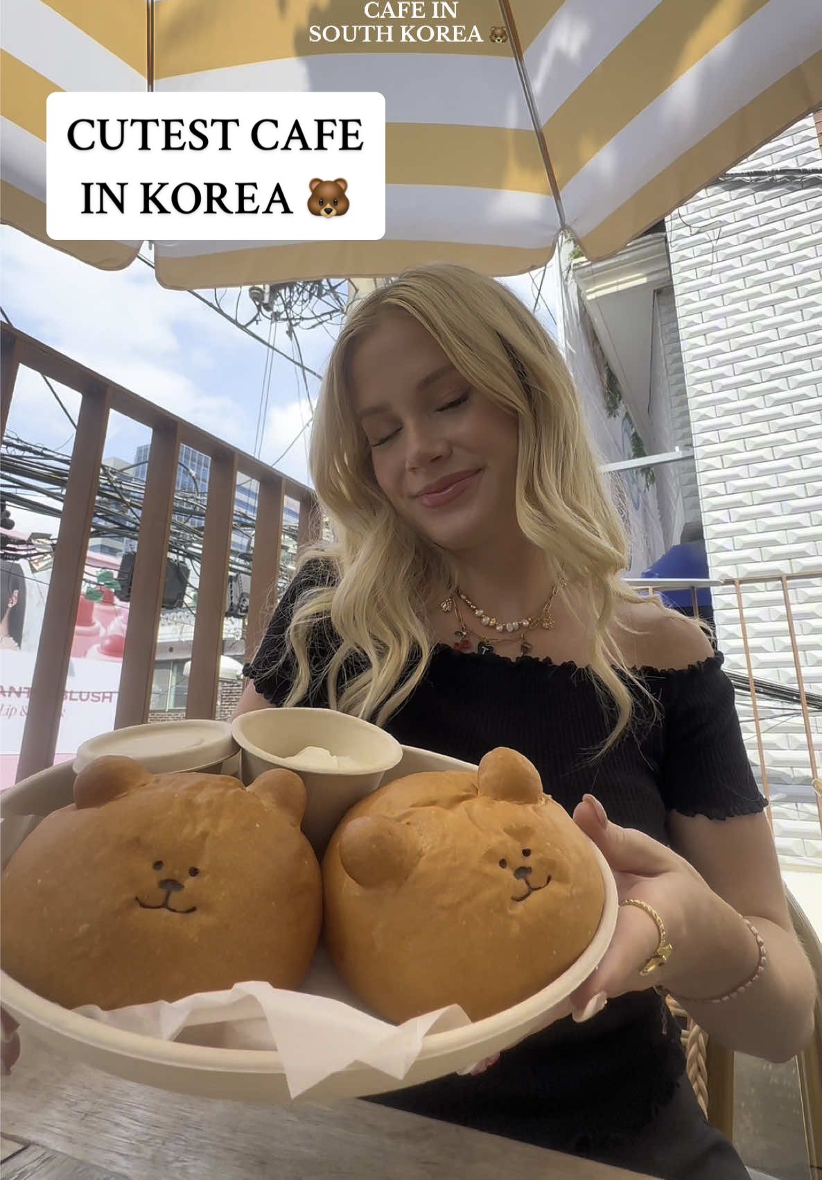 the cutest cafe in Korea!! All the bread is shaped like bears 🐻 #seongsu #korea #seoul #southkorea #cafe #fyp #dalimbread 