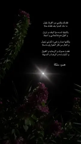 #فقدتك وقلبي من الفرقا يقول  ما عاد للدنيا بعد فقدك حلا#الشعب_الصيني_ماله_حل✨🔥 #تصويري_احترافي_الاجواء👌🏻🕊😴_تصميمي❤️❤️‍🔥#اكسبلورررررررررررررررررررررررررررر🥀🖤 