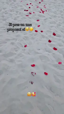 Suprise Proposal🥺💕 #surpriz#propozim#dashuria_zemres#🌹#dream 