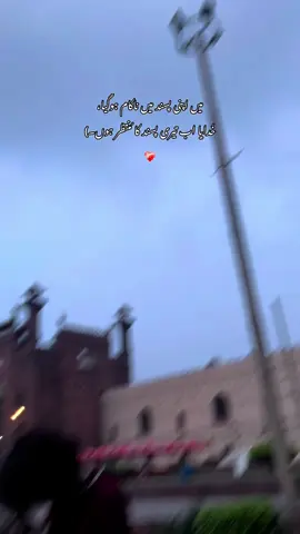 that one question “Saifi kahan se laaty ho aysi poetry’s😭🤌🏻insta:snap:saifi_17180
