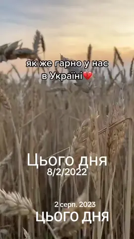 #цьогодня #україна #рекомендациії 