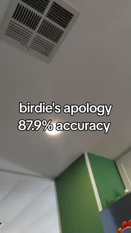 this better get me views #birdie #birdiedrama #jet2holiday #mango #mustard #67 #evilautism #fypシ #fyp #targetaudience 