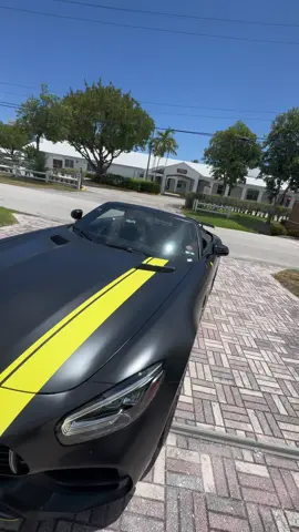 Alquilamos Mercedes y serpiente 🐍