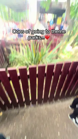 The amount of time I’ve spent in these queues are crazyyy😭  Ik they’re all Chessington I just don’t film queues often ig🤷‍♂️ #themepark #themepark #rides #chessington #chessingtonworlofadventures #waterride #waterrides #tigerrock #tigerrockchessington #rollercoaster #mandrillmayhem #dragonsfury #dragonsfurychessington #vampirechessington 