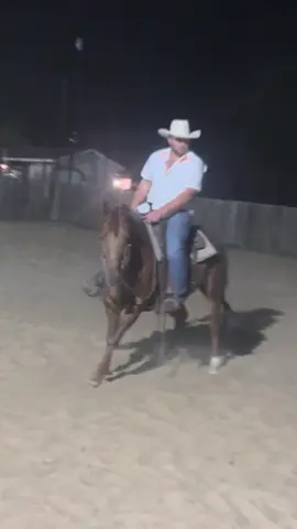 Just horsin’ around #funny #countrymusic #newrelease #cuttinghorse #fyp #foryoupage #texas #talktometexas #cowboylife 