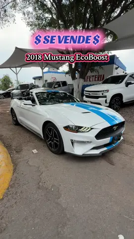 📍Guadalajara, Jalisco 🚘 Mustang Convertible EcoBoost 2018 🤍 Color blanco con franjas azules 🔥 🎯 Turbo + Estilo + Libertad 🎬 Capota eléctrica ✅ 💨 Motor 2.3L Turbo ✅ 💺 Interiores deportivos ✅ 🔊 Sonido premium & pantalla táctil ✅ 💎 ¡Listo para robar miradas! ¿Te imaginas manejándolo por la ciudad con la capota abajo? 😎 📩 ¡Mándame mensaje para más info! #guadalajara #mustang #fyp #paratiiiiiiiiiiiiiiiiiiiiiiiiiiiiiii #GuadalajaraCars