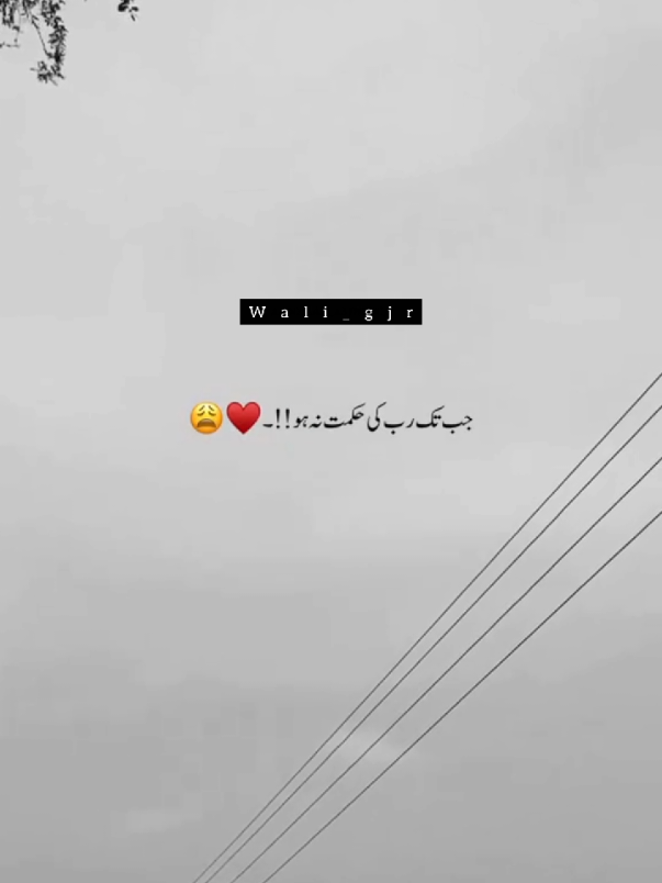 When peer Ajmal sahab said:  #foryou #islamic #islamic_video #islamicvideo #islamicreminder 