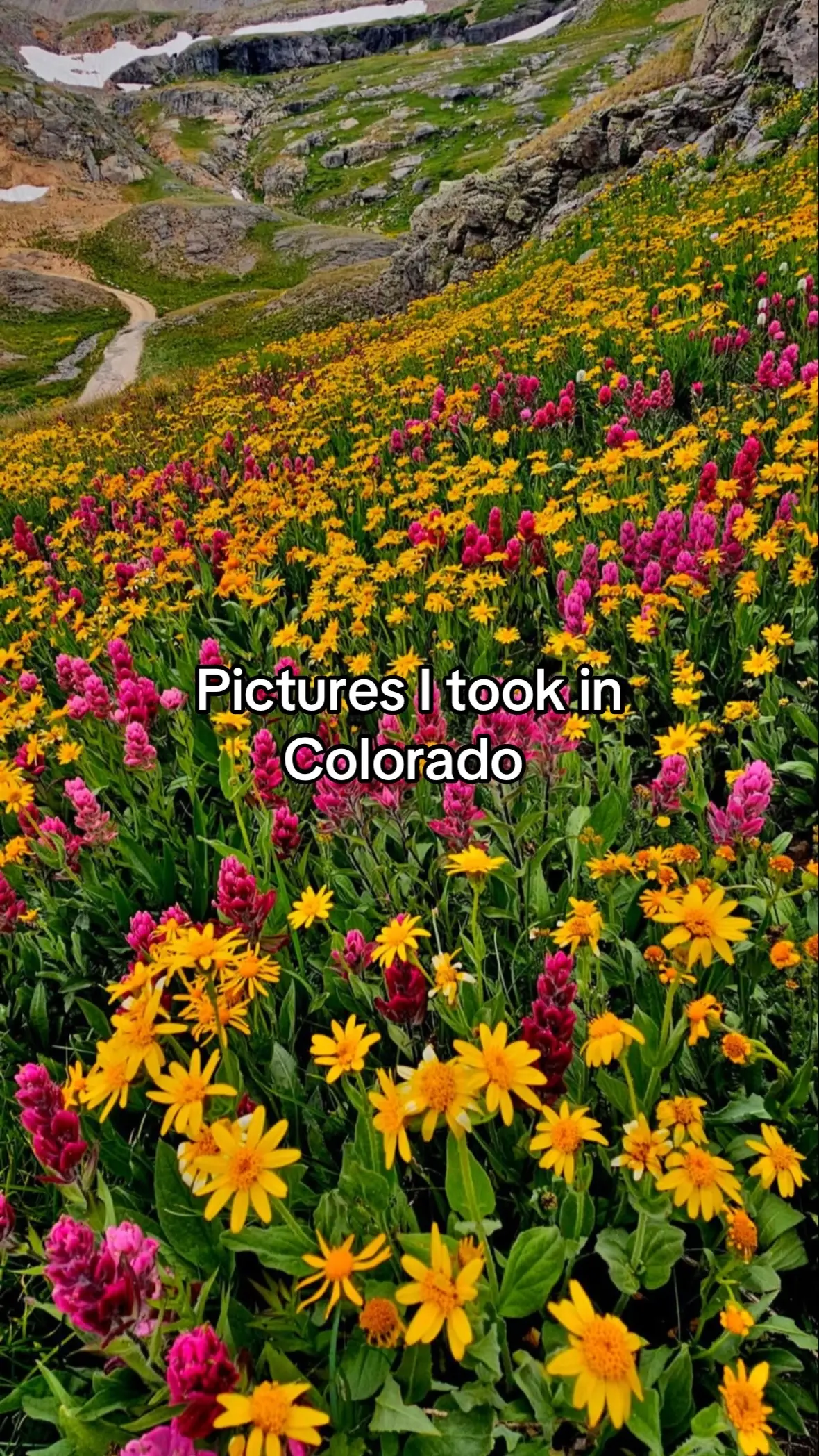 Colorado was just breath taking I’ll never forget it’s shear beauty! I had an amazing time for our wedding trip but here is some nature pictures I captured. #photos #photography #colorado #fyp #hi #beauty #nature #hike #god 