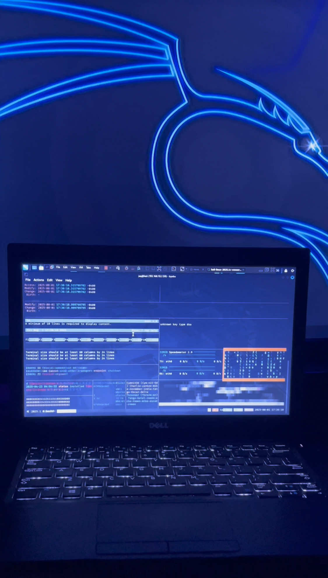 “Comando hollywood en Kali Linux. ¿Lo conocías?” “Ideal para videos, clases, o impresionar a tus compas 😎”.  #fyp #parati #AprendeEnTikTok #tutorialrapido #kaliLinux