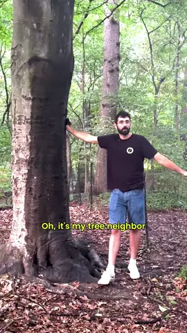 tree neighbors @mattccamera @Kevin Mulharin 