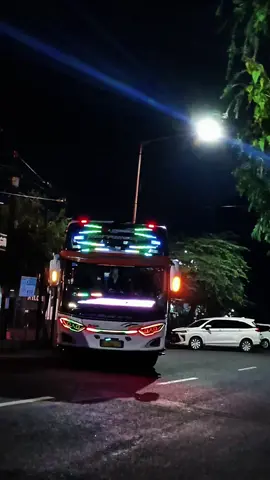 aduh pipiku di cium mas jokoo... 💃 #bus #busmania #busmaniacommunity #busmaniacom #busmaniaindonesia #fypシ゚ #xyzbca 