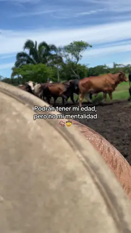 #fyp #agropecuario #alucines📿🧿🙈 #trabajo 