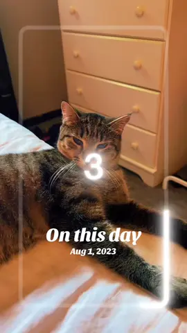 #onthisday 