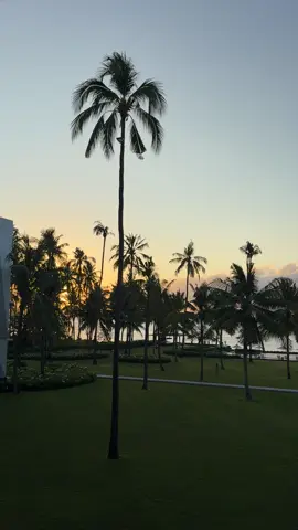 Morning at dialoog   #fypシ #banyuwangi #dialoogbanyuwangi #dialooghotel #sunriseofjava 