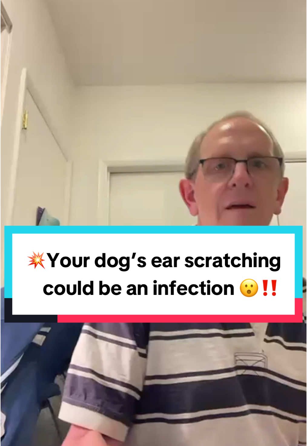 💥If your dog is constantly scratching their ears, most pet parents think it’s just wax, but it could be mites or an infection‼️ . . #dealsforyoudays #superbrandclub #summertransformation #summersales #tiktokshopcreatorpicks #dogears #dogearinfection #dogearcleaning #dogearcare #eardrops #earwax #earmites #quantumsilver #chamomile #doghealth #doghealthtips #dogtips #dogwellness #dogsupplements #dogsupplies #dogessentials #naturalsolutionsfordogs #dogmom #dogdad #dogparents #dogowner #petlife  @Puainta Us 