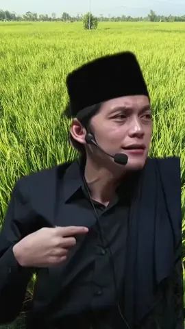 leres gus saestu