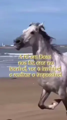#tiktok #🤗 