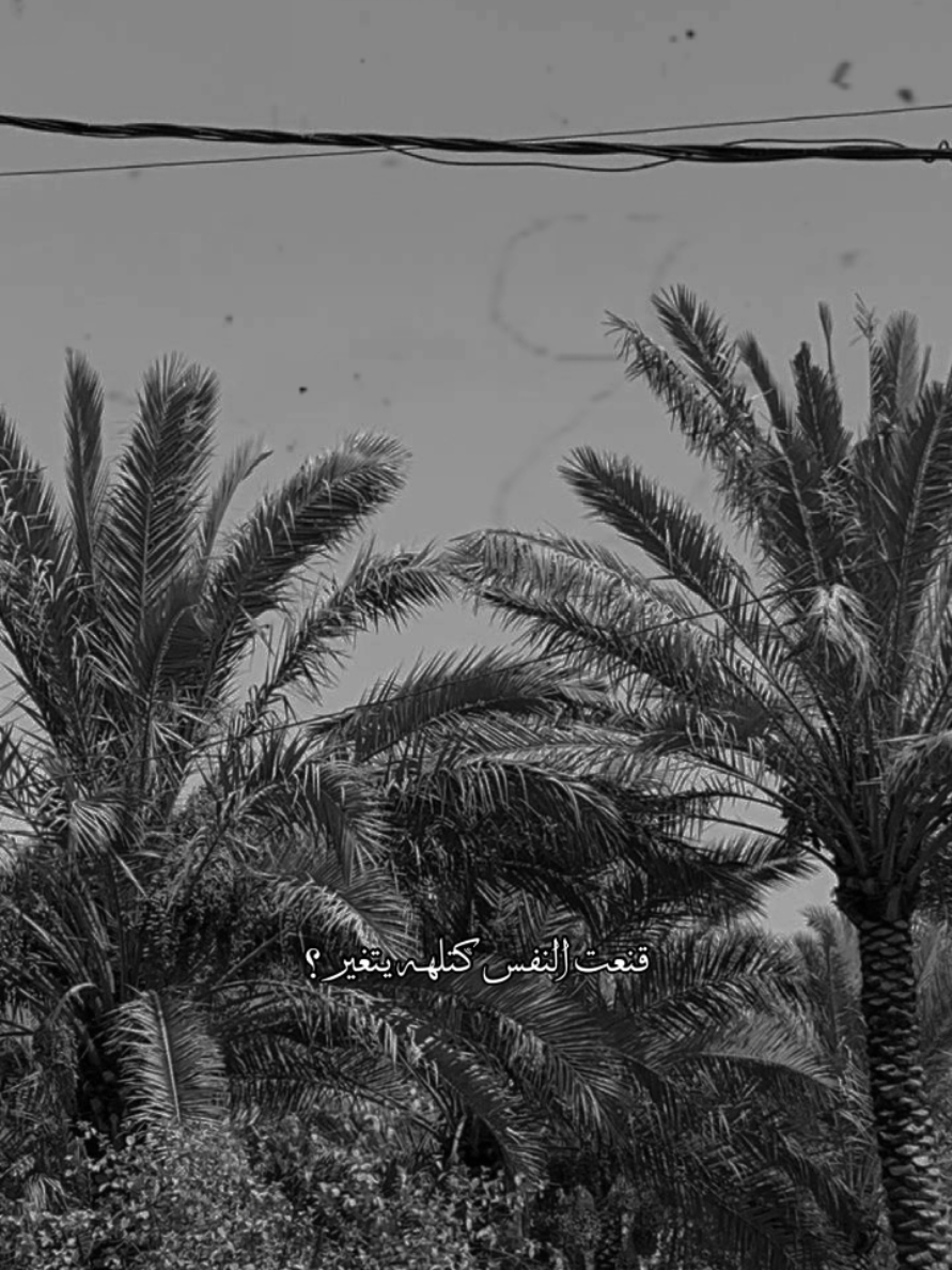 #CapCut #سمير_صبيح💔 #🖤🖤❤️❤️🖤🖤 #سمير_صبيح❤️ #اكسبلورexplore #سمير_صبيح💔 
