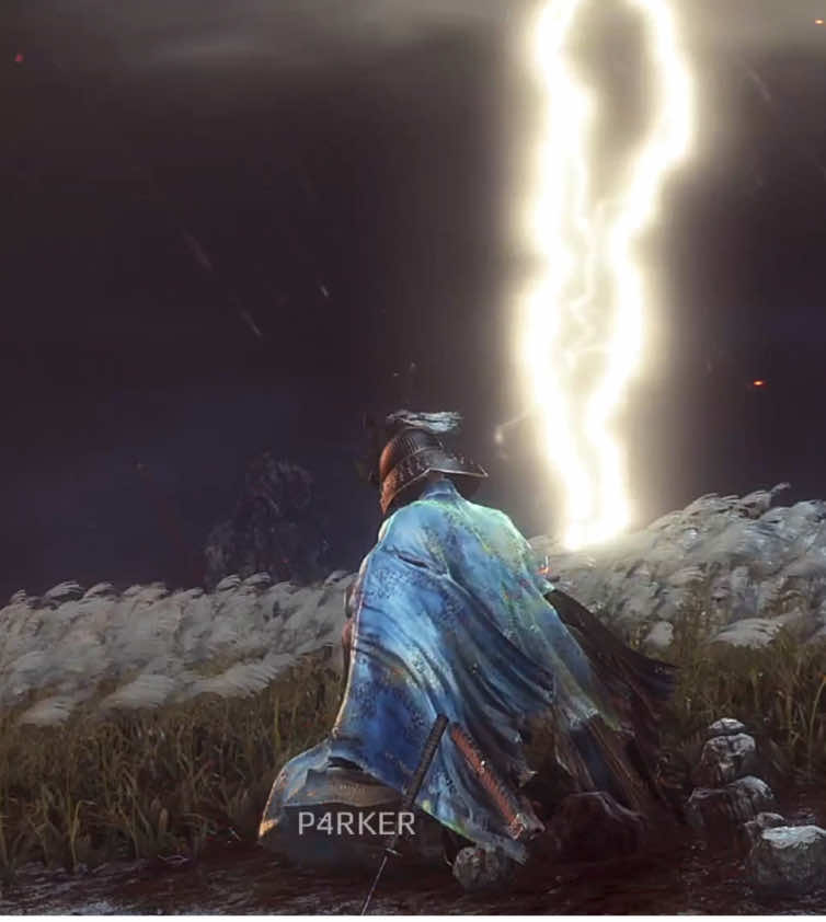 Overthrow…|||#sekiro#fromsoftware#game#videogame#gaming#vibes#fyp