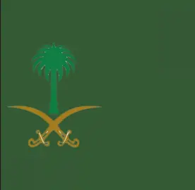 #السعوديه🇸🇦💚 #fyppppppppppppppppppppppp #foryoupage #fypシ #اكسبلورexplore #لايك_متابعه_اكسبلور #explore 