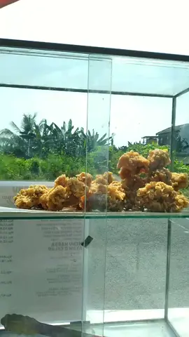 🐥 crispy rey d'celup bapoh