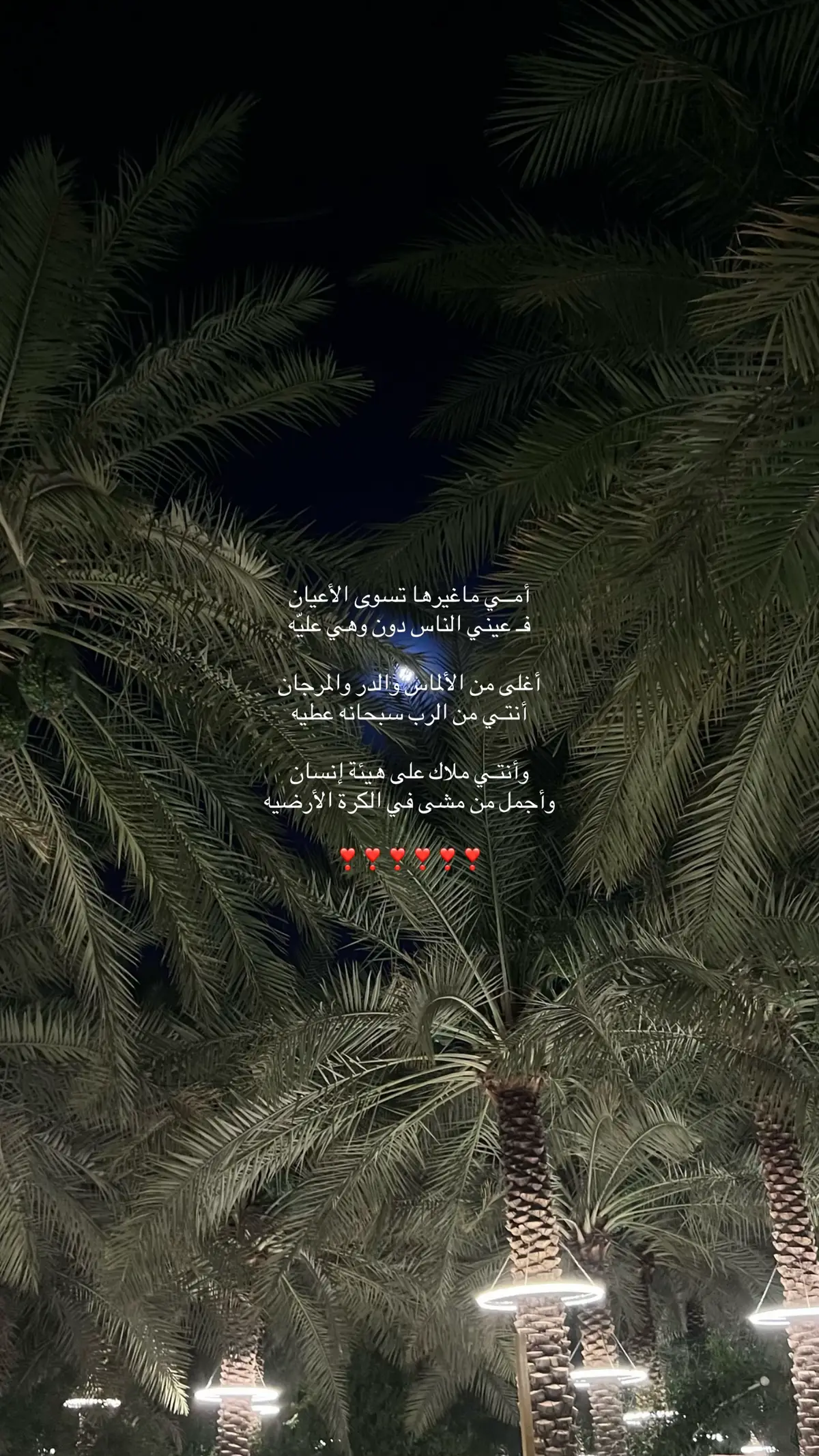 حبيبة الروح ❣️❣️#أمي #CapCutAmor #القصيم #نخيل 
