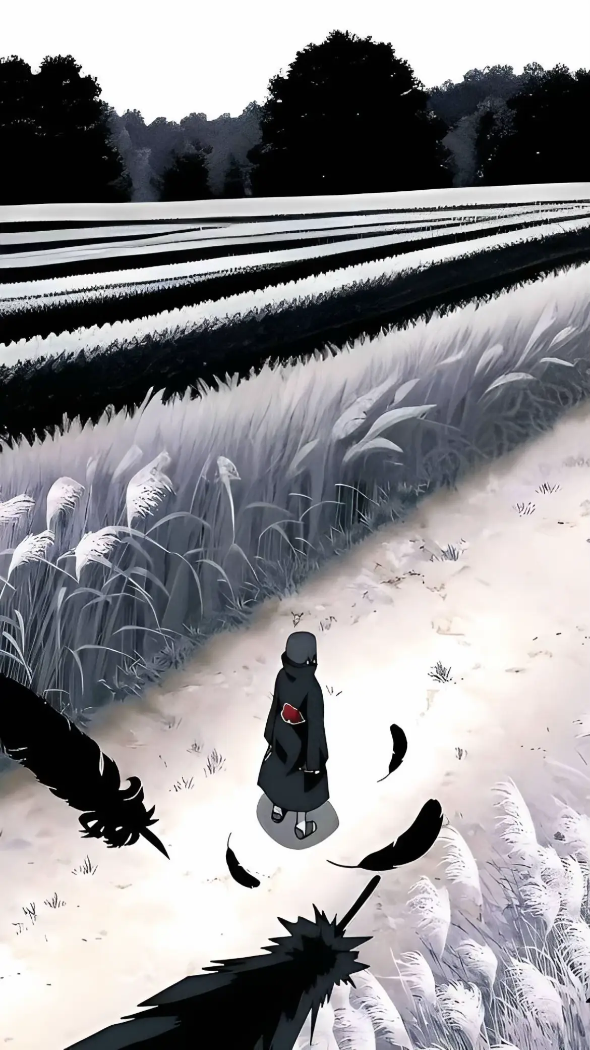 Naruto Shippuden Walls | #fyp #anime #narutoshippuden #wallpaper #xyzabc 