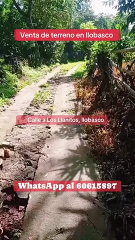 Se vende terreno en Ilobasco! #ventadeterreno #Ilobasco #ilobascocabañasoeste #inmobiliariailobasco #LosLlanitos 